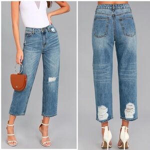 EVIDNT Los Angeles Malibu Medium Wash Distressed Girlfriend Ankle Jeans Size 27